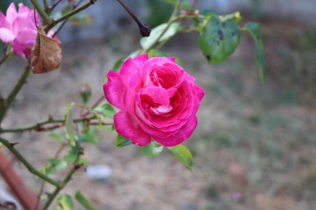 오우렘 Vivenda Alju 빌라 외부 사진