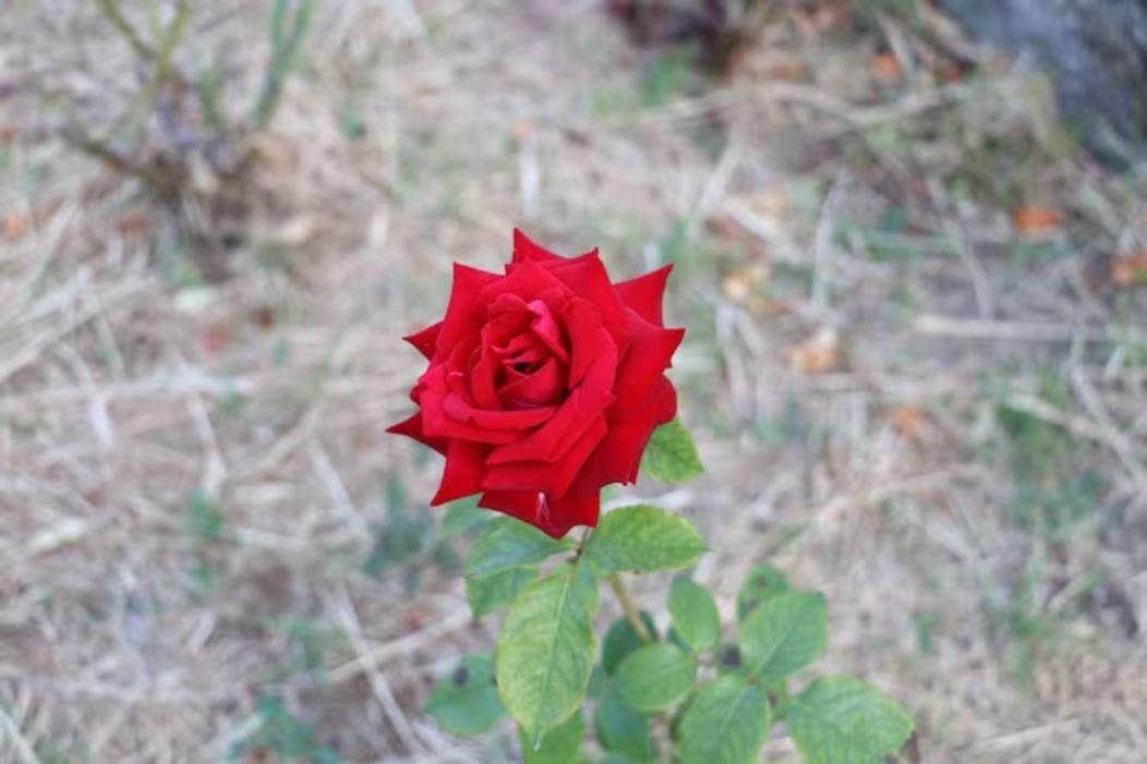 오우렘 Vivenda Alju 빌라 외부 사진